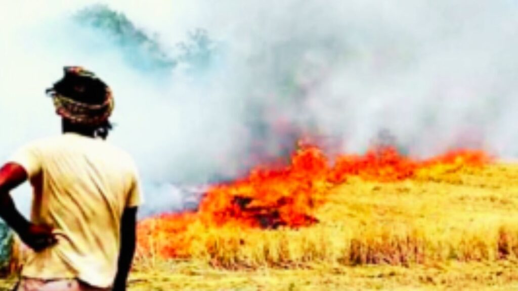 फोटो साभार: सोशल मीडिया