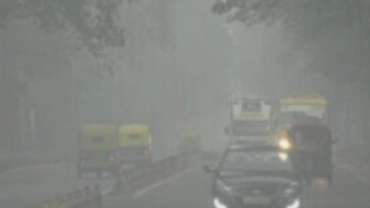 फोटो साभार: सोशल मीडिया