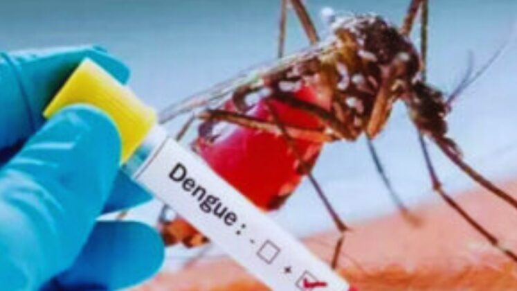 dengue _SADAA Times