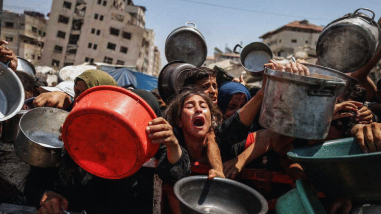 Gaza_Sadaa Times (13)