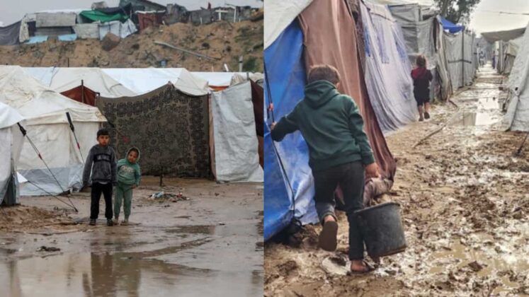 Gaza_Sadaa Times (31)